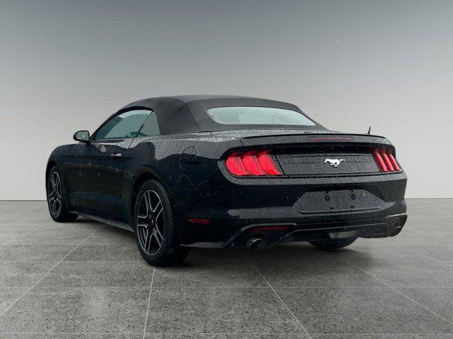 used 2023 Ford Mustang car, priced at $24,999