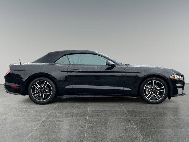 used 2023 Ford Mustang car, priced at $24,999