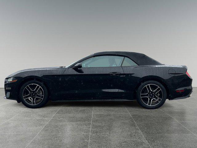 used 2023 Ford Mustang car, priced at $24,999