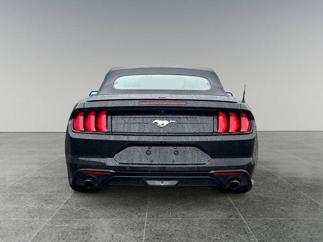 used 2023 Ford Mustang car, priced at $24,999