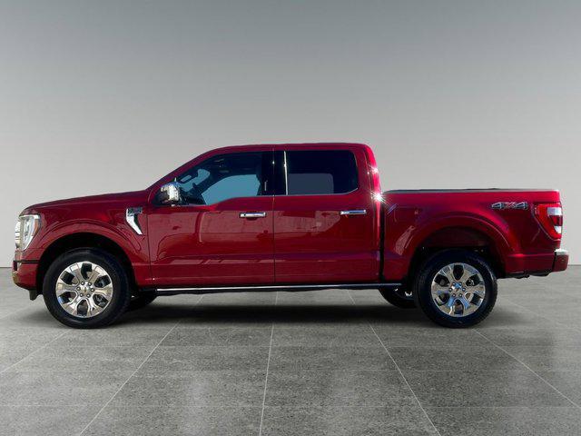 used 2021 Ford F-150 car, priced at $54,552