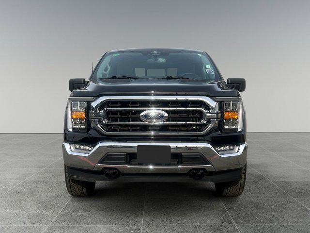 used 2023 Ford F-150 car, priced at $46,999