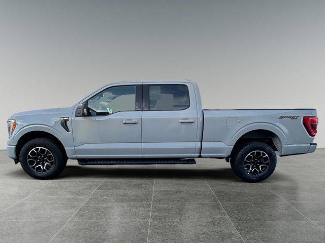 used 2023 Ford F-150 car, priced at $50,250