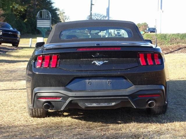 used 2024 Ford Mustang car, priced at $34,800