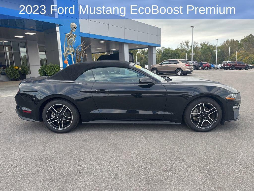 used 2023 Ford Mustang car, priced at $25,114