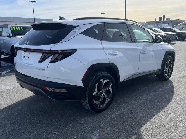 used 2022 Hyundai Tucson Hybrid car