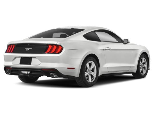 used 2021 Ford Mustang car
