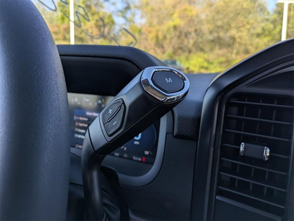 new 2025 Ford F-150 car