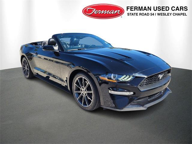 used 2019 Ford Mustang car, priced at $19,000