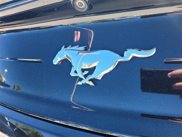 used 2019 Ford Mustang car, priced at $19,000