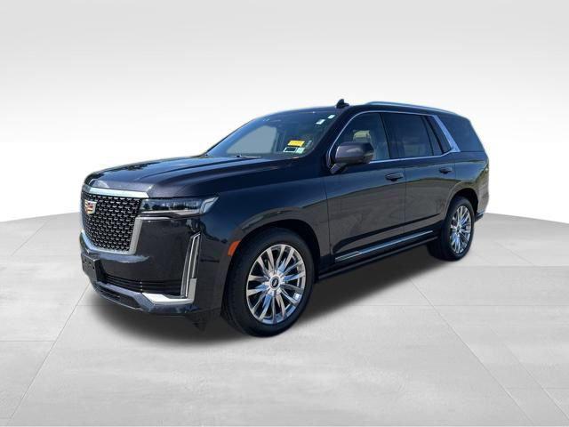 used 2022 Cadillac Escalade car, priced at $63,529