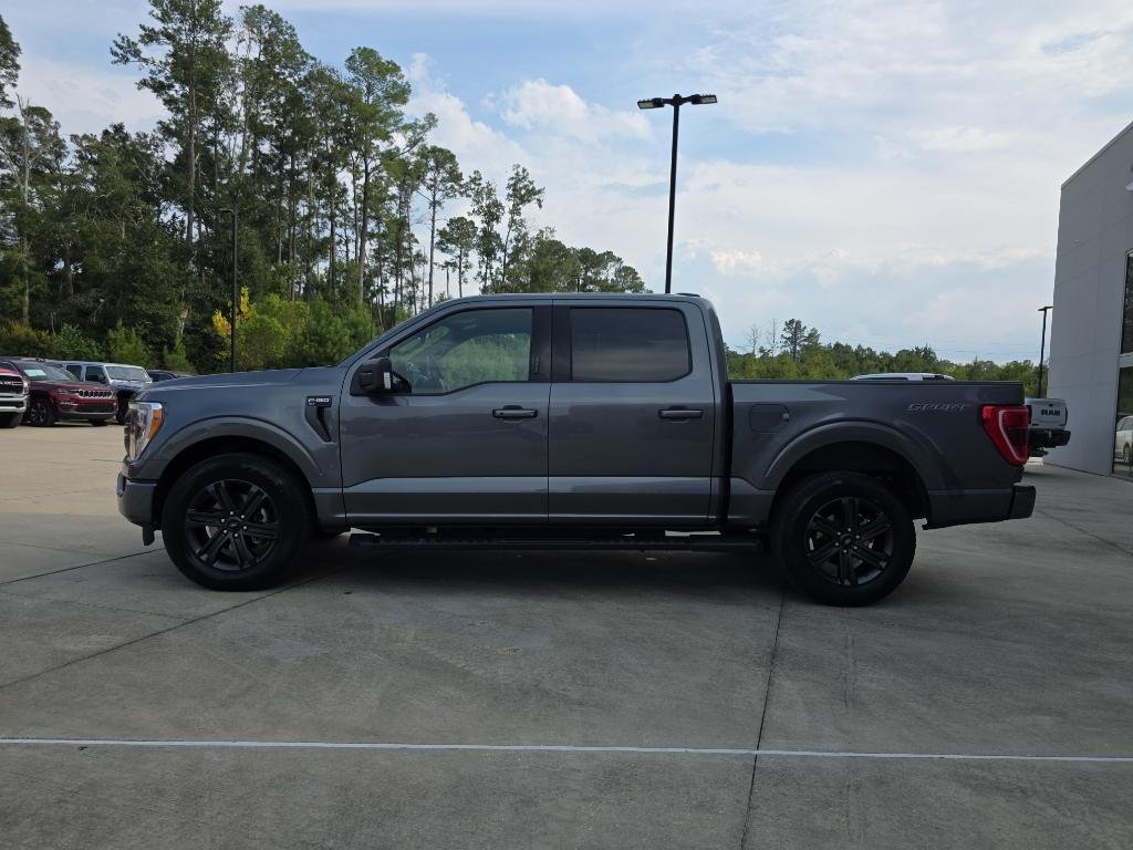 used 2023 Ford F-150 car, priced at $32,747