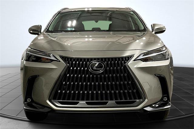 used 2024 Lexus NX 350 car, priced at $44,000