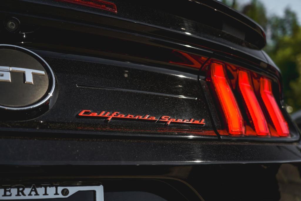 used 2019 Ford Mustang car