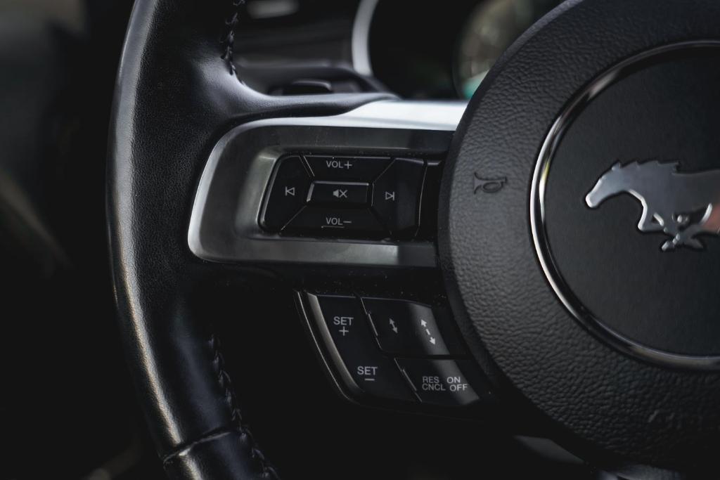 used 2019 Ford Mustang car
