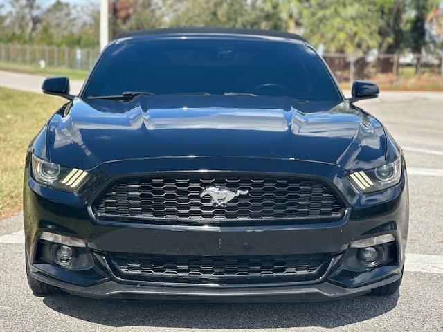 used 2017 Ford Mustang car, priced at $15,999