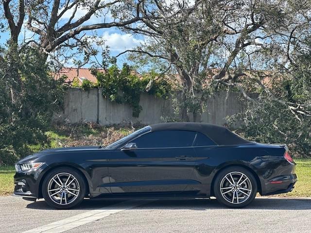 used 2017 Ford Mustang car, priced at $15,999