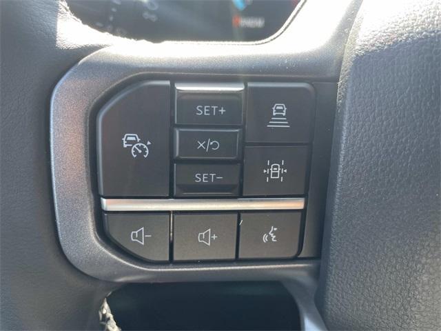 new 2025 Ford F-150 car