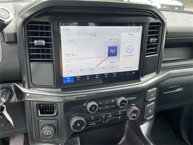 new 2025 Ford F-150 car