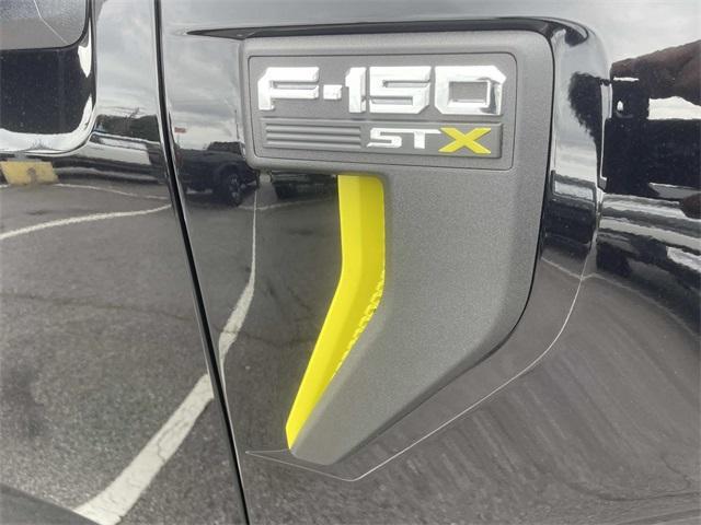 new 2025 Ford F-150 car