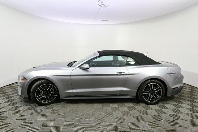 used 2023 Ford Mustang car, priced at $28,480