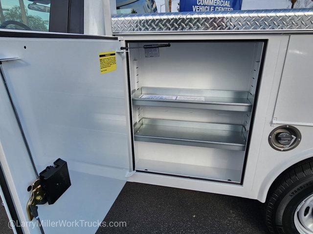 new 2025 Ford F-250 car, priced at $49,317