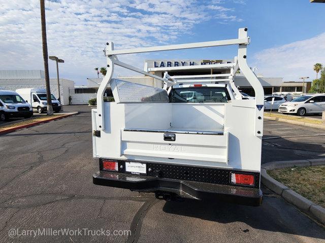 new 2025 Ford F-250 car, priced at $49,317