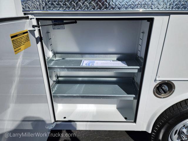 new 2025 Ford F-250 car, priced at $49,317