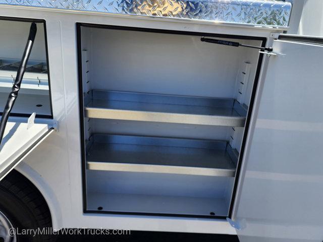 new 2025 Ford F-250 car, priced at $51,852