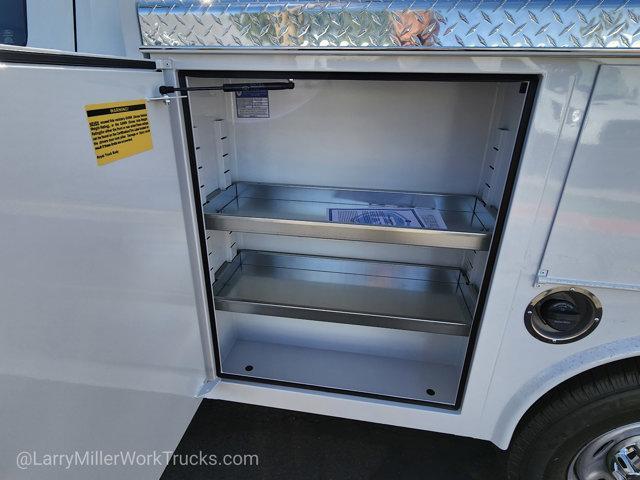 new 2025 Ford F-250 car, priced at $51,587