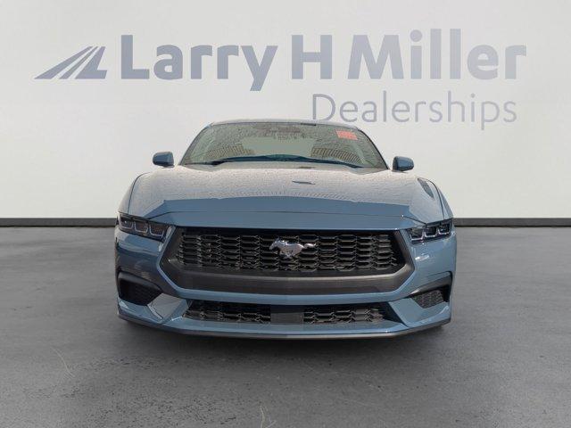 used 2024 Ford Mustang car