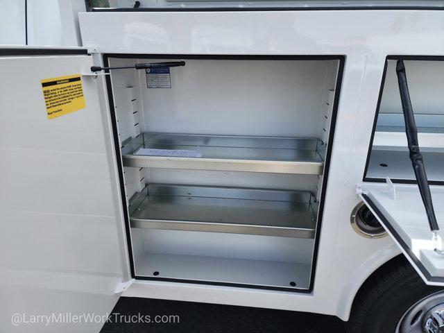 new 2025 Ford F-250 car, priced at $51,388