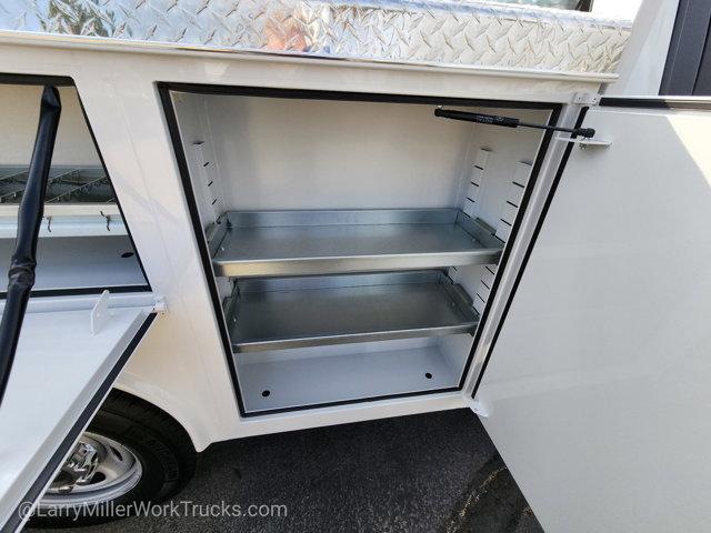 new 2025 Ford F-250 car, priced at $49,317