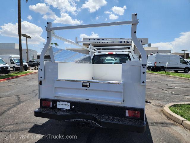 new 2025 Ford F-250 car, priced at $49,317