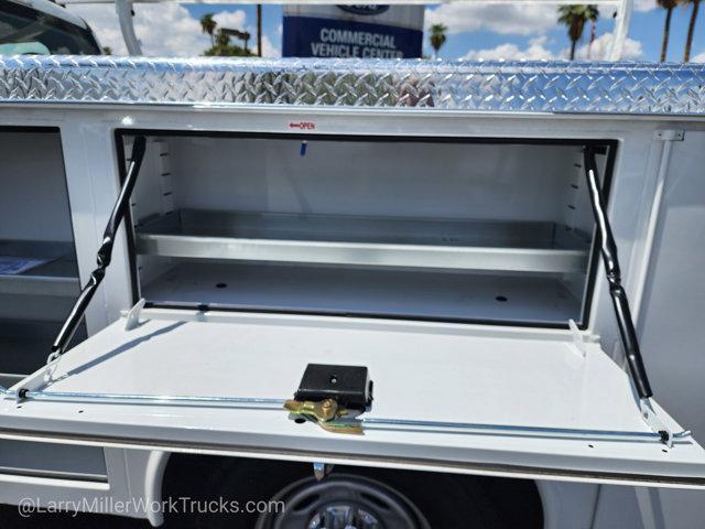 new 2025 Ford F-250 car, priced at $49,317