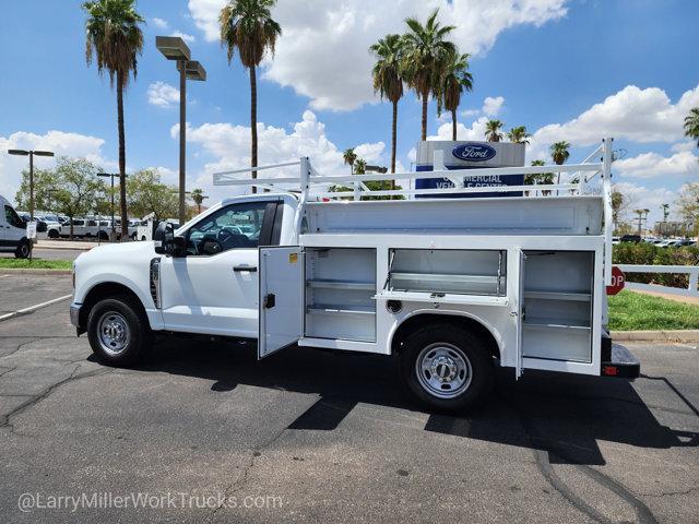 new 2025 Ford F-250 car, priced at $49,317