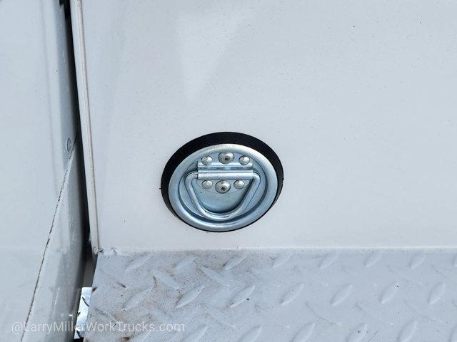 new 2025 Ford F-250 car, priced at $49,317
