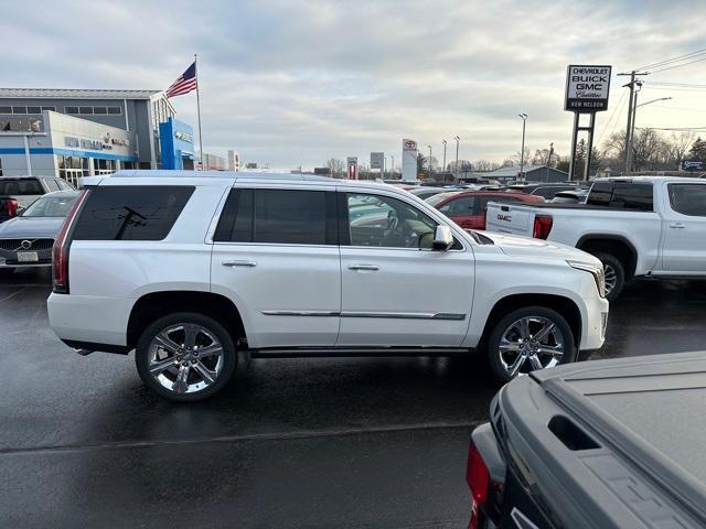 used 2017 Cadillac Escalade car, priced at $34,499