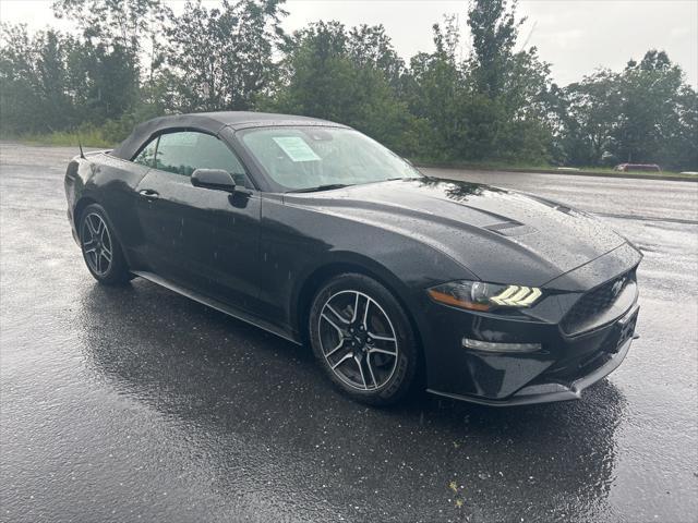 used 2023 Ford Mustang car, priced at $26,399