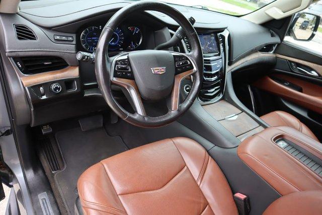 used 2020 Cadillac Escalade car, priced at $37,500