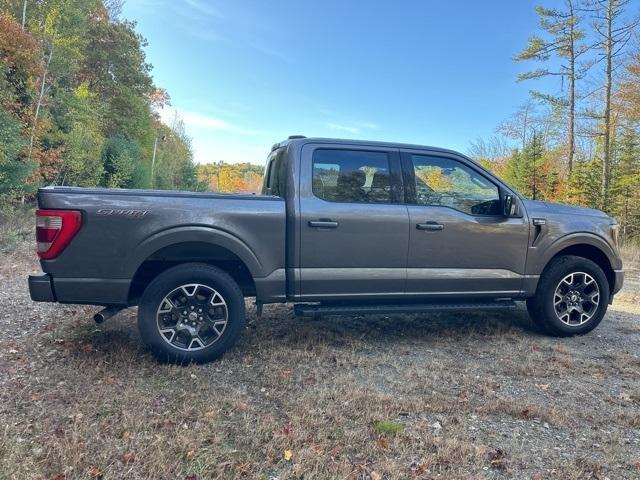 used 2023 Ford F-150 car, priced at $49,999