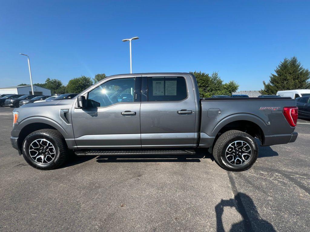 used 2023 Ford F-150 car, priced at $39,118
