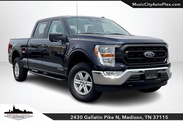 used 2022 Ford F-150 car