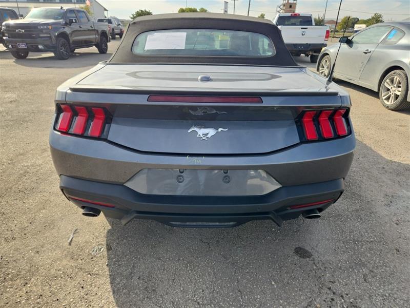 used 2025 Ford Mustang car, priced at $28,999