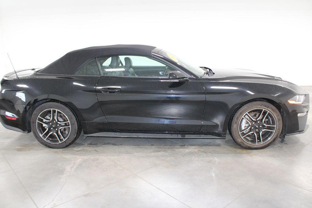 used 2023 Ford Mustang car, priced at $25,798