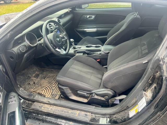 used 2019 Ford Mustang car, priced at $22,500
