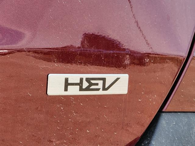 new 2025 Kia Carnival Hybrid car, priced at $47,650