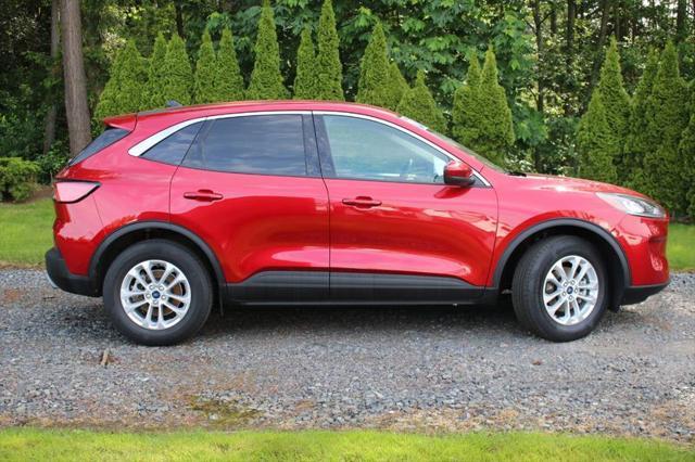 used 2020 Ford Escape car, priced at $19,995