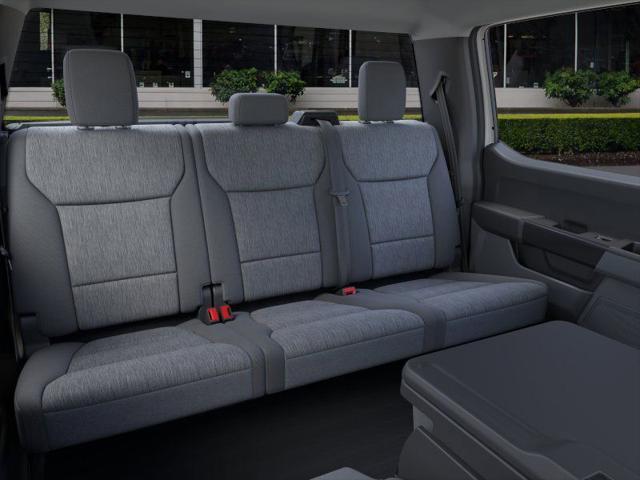 new 2025 Ford F-150 car, priced at $47,917