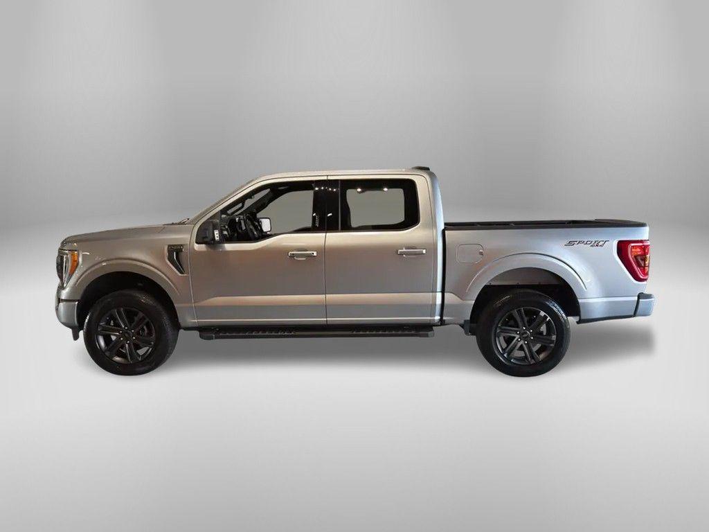 used 2023 Ford F-150 car, priced at $47,440